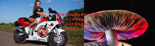 дурь Магас