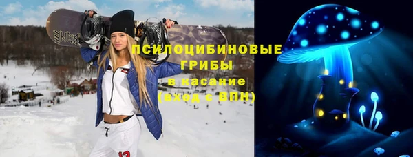 дурь Магас