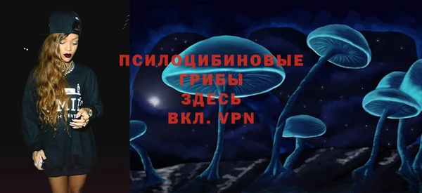 дурь Магас