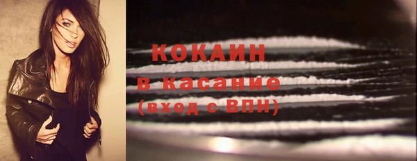 дурь Магас