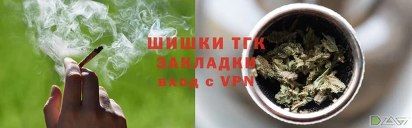 дурь Магас