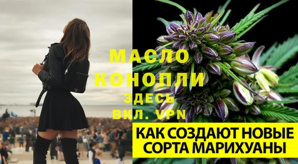 дурь Магас