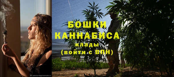 дурь Магас