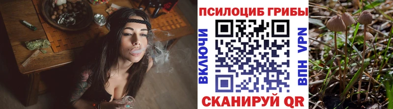 blacksprut как войти  Жуковский  Псилоцибиновые грибы GOLDEN TEACHER  хочу наркоту 